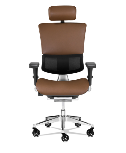 X-Tech Executive