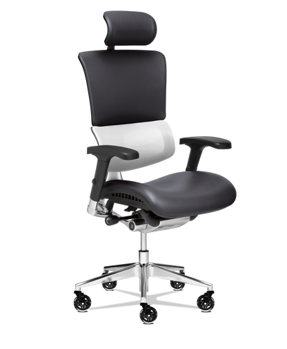 X-Tech Executive