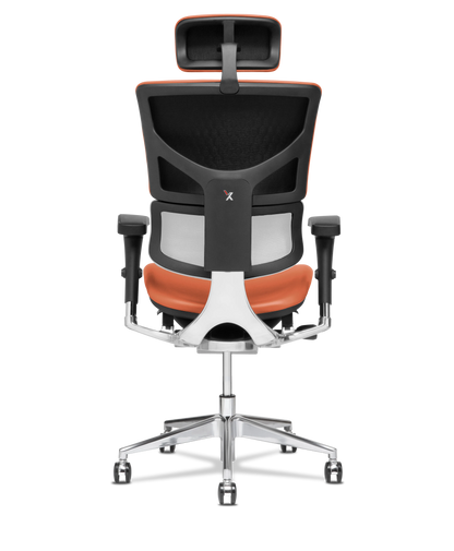 X-Tech Executive