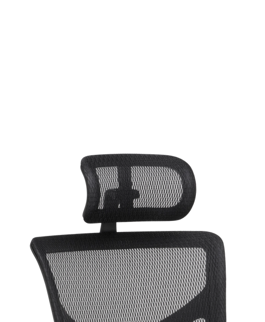 X-Basic Headrest