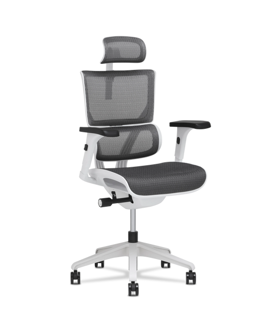 X-Vision Small Task
