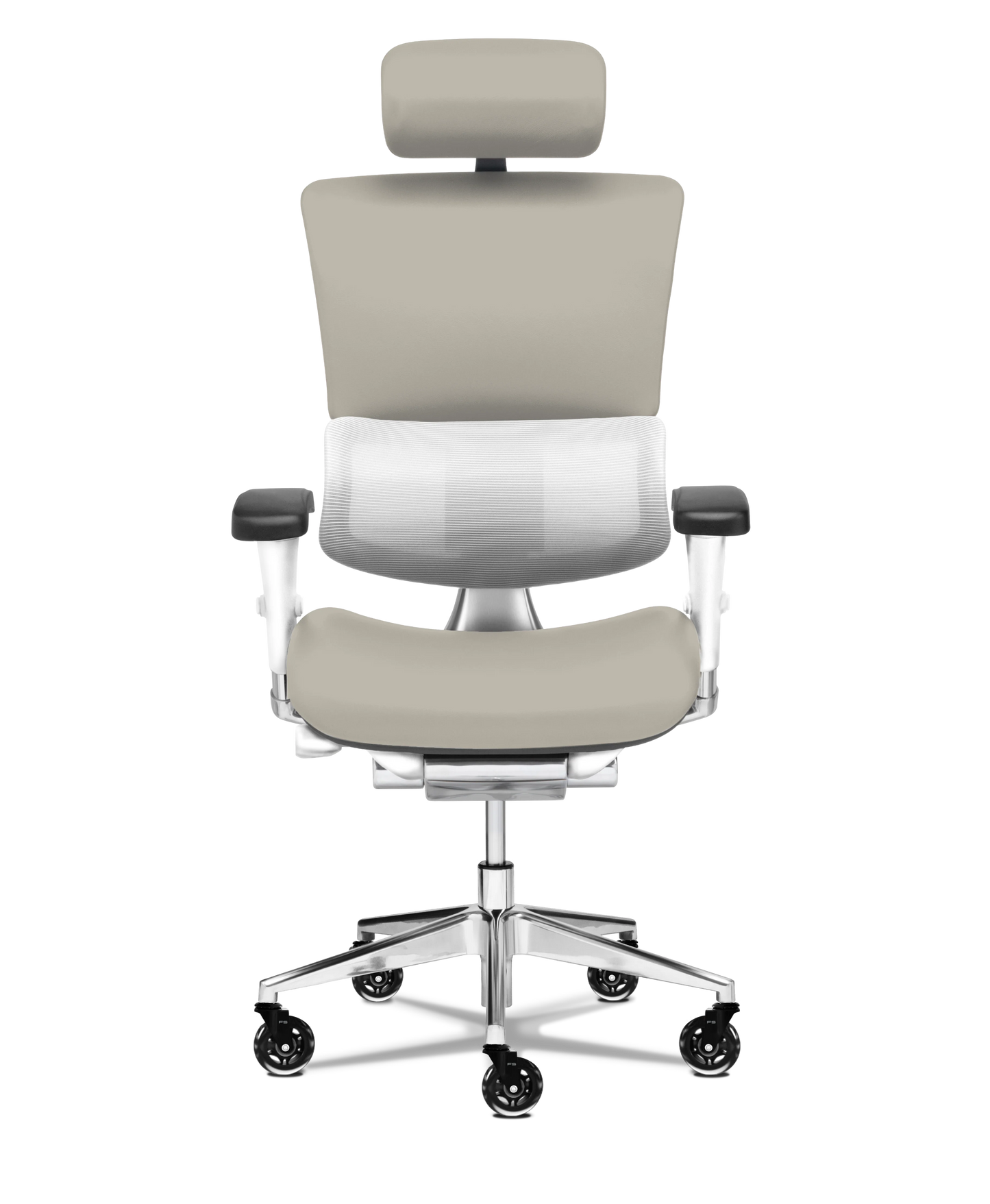 X-Tech Executive