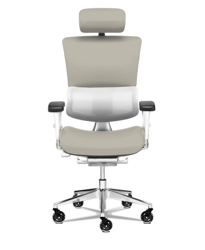 X-Tech Executive