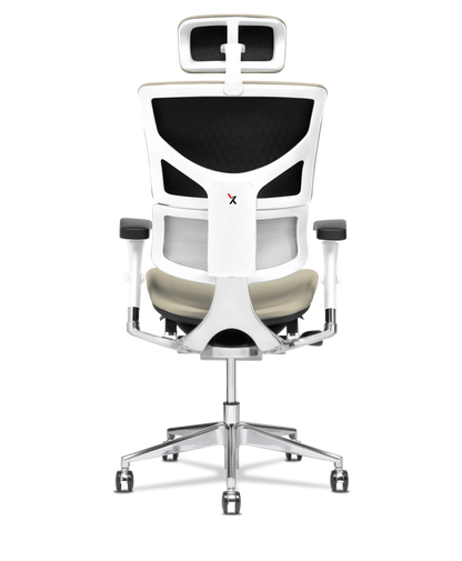 X-Tech Executive