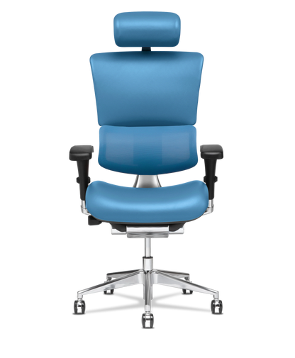 X-Tech Executive