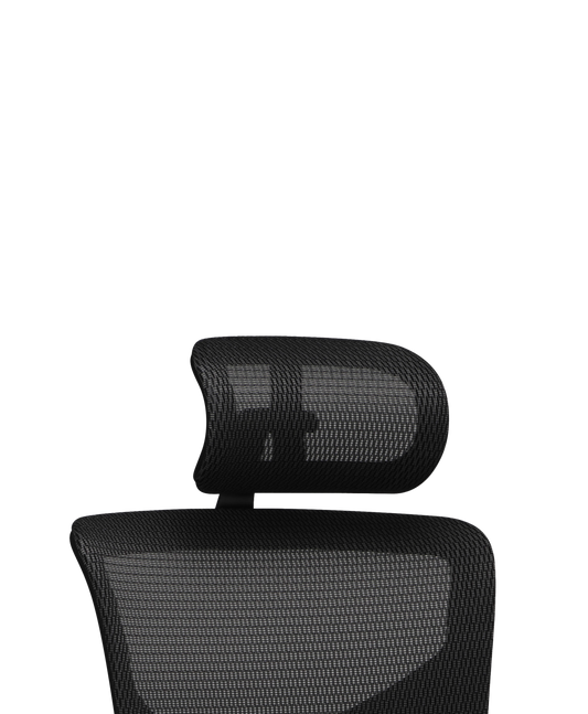 X2 Headrest