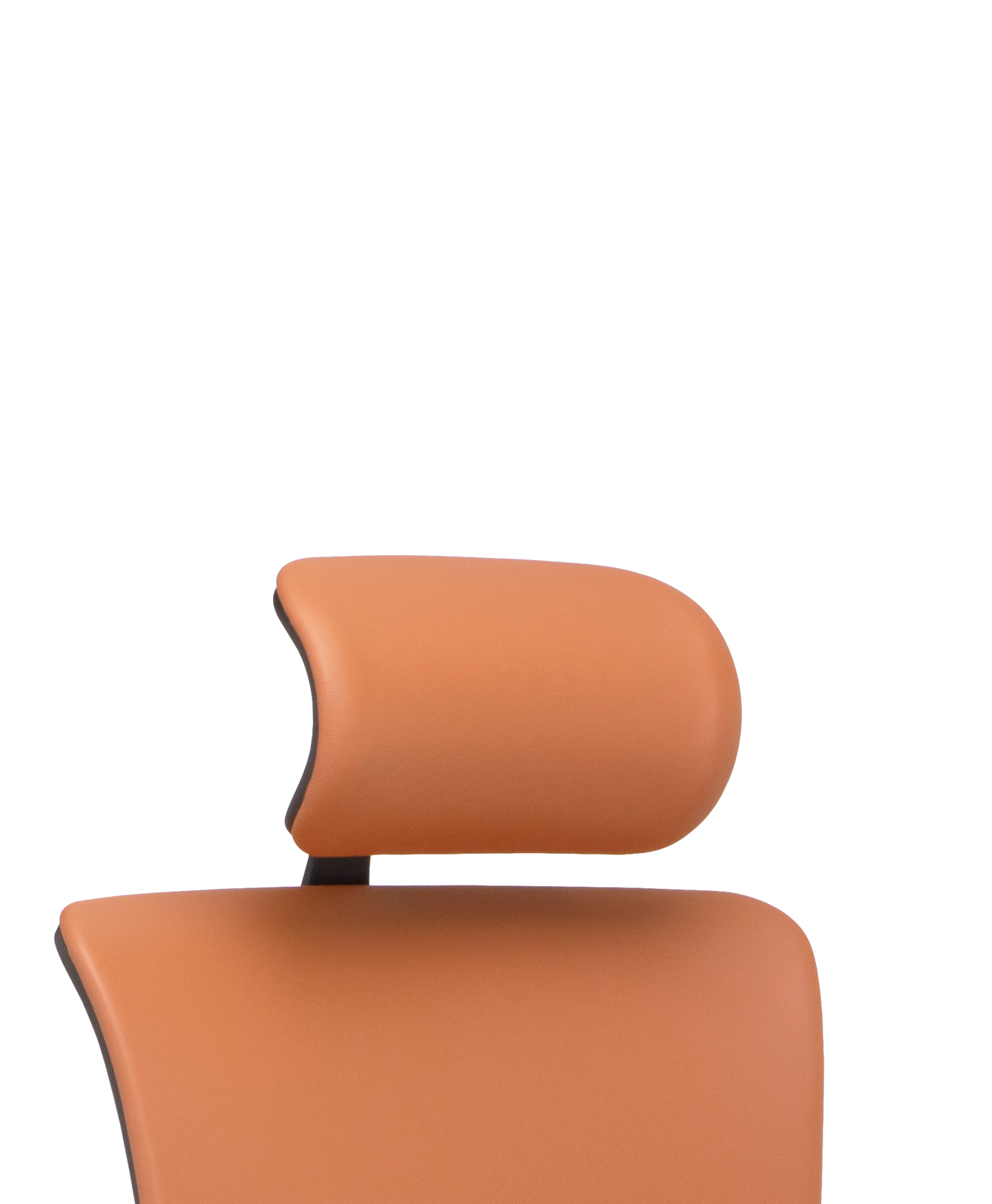 X4 Headrest