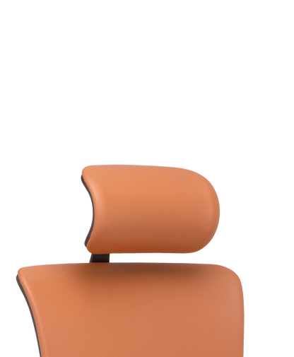 X4 Headrest