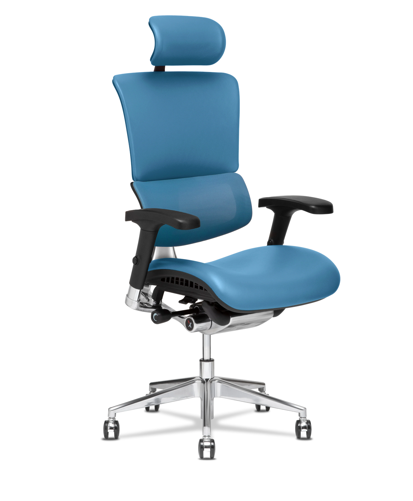 X-Tech Executive