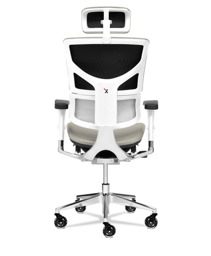 X-Tech Executive