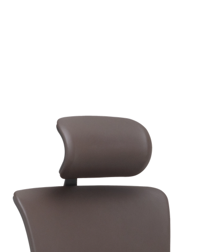 X4 Headrest